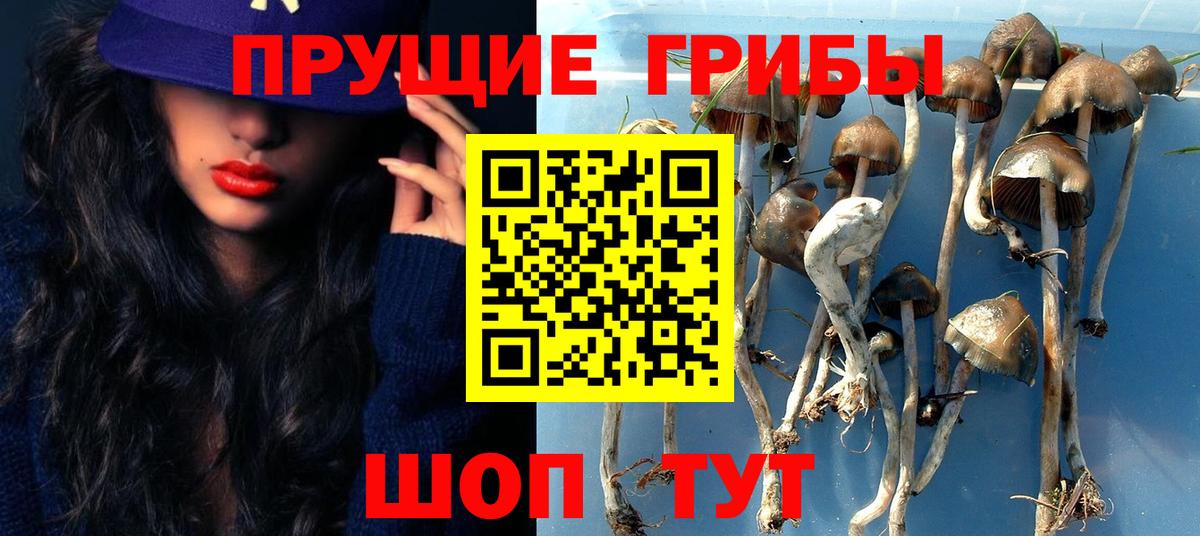 Псилоцибиновые грибы мухоморы Кызыл